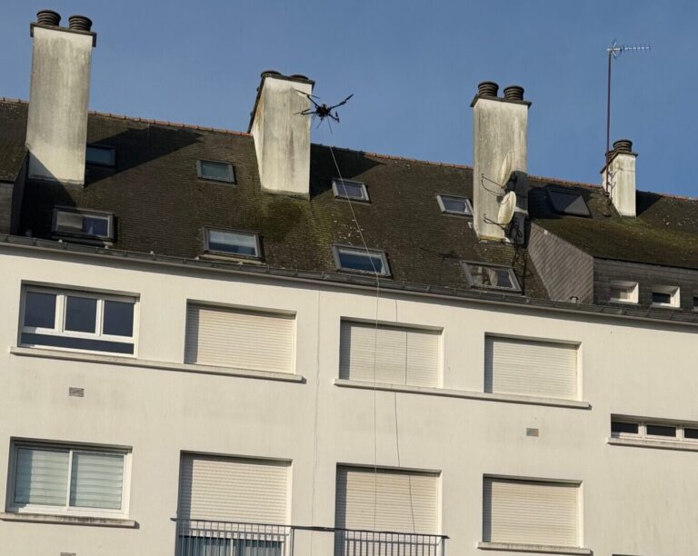 Démoussage toiture drone traitement ardoises